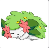 Sleeping Shaymin