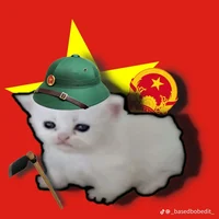 Vietcong Cat