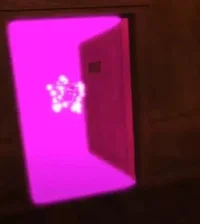 Pink dupe