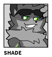 Shade
