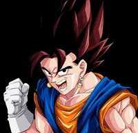 Vegetto