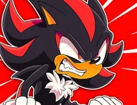 Shadow The Hedgehog