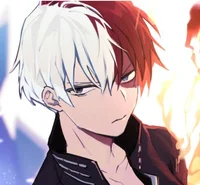Protective todoroki