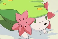 Shaymin