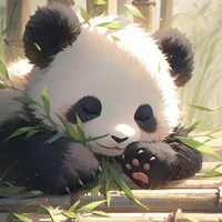 Baby Panda