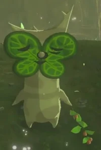 Korok
