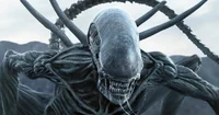 Xenomorph
