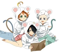 TPN rp group