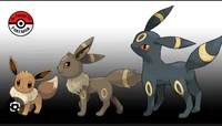 Baby umbreon