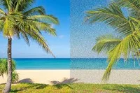 Visual Snow Syndrome