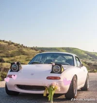 Miata enamorado