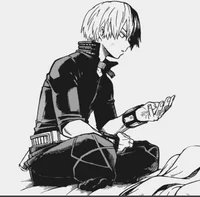 Z-Todoroki Shoto