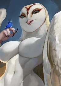 Owl GF