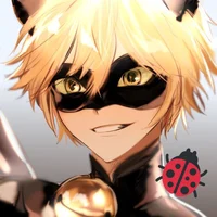 Cat Noir
