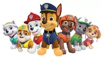 Paw patrol group