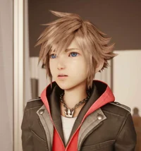 Sora