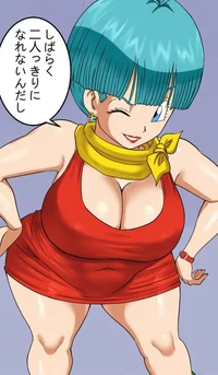 Bulma Briefs