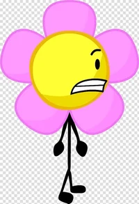 Bfdi flower