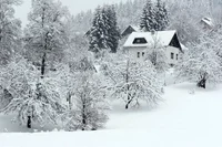 Winterlands