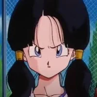 Videl