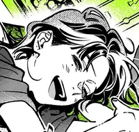 Koga Mitsuki