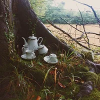 Return to wonderland