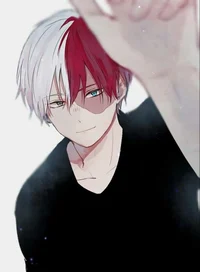 Shoto Todoroki