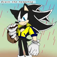 BLACK THE HEDGEHOG 
