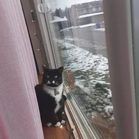 weird dream generato