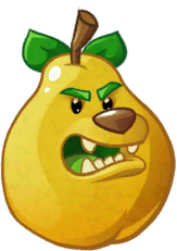 Grizzy pear