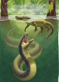 Titanoboa