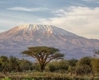 Mt Kilimanjaro 