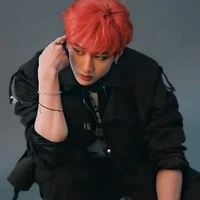 Bang Chan 