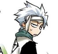 Toshiro Hitsugaya