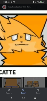 Catte