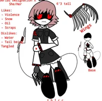 Serial designation x