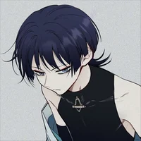 collagedormate scara