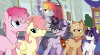 MLP 