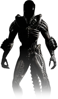 Xenomorph