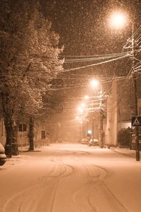 Snowy Night