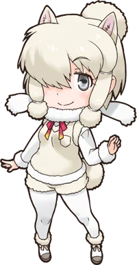Alpaca Suri