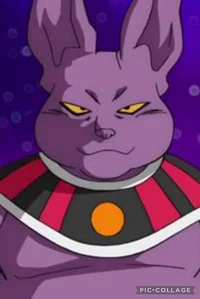 Champa