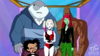 Harley Quinns crew
