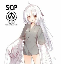 SCP 020