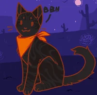 Warrior cat Bbh