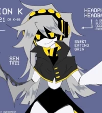 Serial Designation K