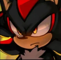 Shadow the hedgehog