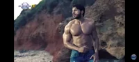 Fiki storaro