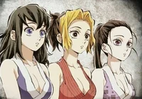 Suma Makio Hinatsuru