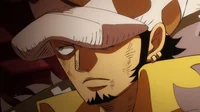Trafalgar Law